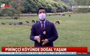 Pirinççi Köyümüzü yakından tanımak ister misiniz?