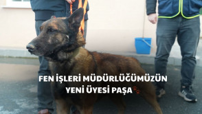  Belediye birimlerimizde başlattığımız sahiplendirme seferberliğimiz büyüyerek devam ediyor