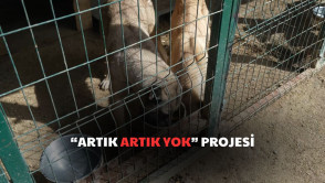 Tabaklarımızda kalan her gıda, can dostlarımıza umut oluyor